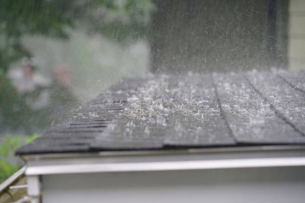 Best Metal Roofing Installation  in Chester, IL