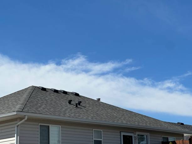 Best Roof Leak Repair  in Chester, IL